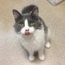 Thumbnail photo of Mariah #2