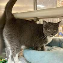 Thumbnail photo of Luna #2