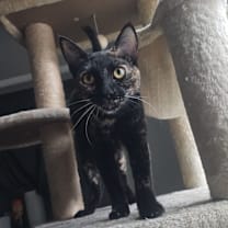 Thumbnail photo of Bloom #1