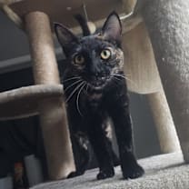 Thumbnail photo of Bloom #3