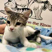 Thumbnail photo of Gerri #3