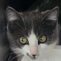 Thumbnail photo of Dakota  #2