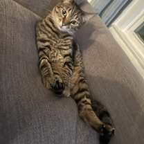 Thumbnail photo of Luci #2