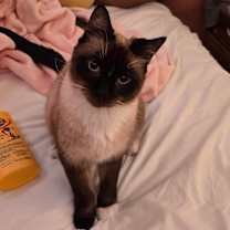 Thumbnail photo of Luna #3