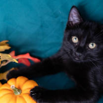 Thumbnail photo of Professor #1