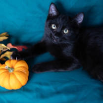 Thumbnail photo of Professor #2