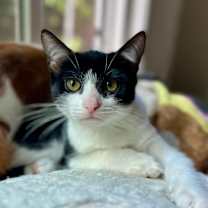 Thumbnail photo of Skipper #2