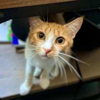 Thumbnail photo of Sandy #2