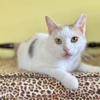 Thumbnail photo of Tina Purrner #1