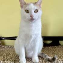 Thumbnail photo of Tina Purrner #2