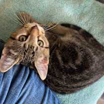 Thumbnail photo of Soup #2