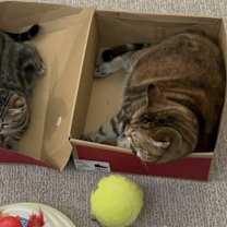 Thumbnail photo of Soup #3