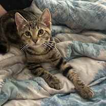 Thumbnail photo of Soup #4