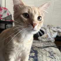 Thumbnail photo of Todd #1