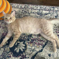 Thumbnail photo of Todd #2