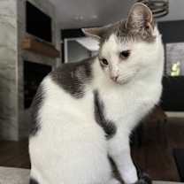 Thumbnail photo of Aura #2