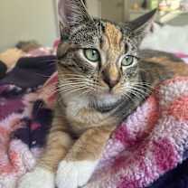 Thumbnail photo of Harper #1