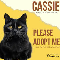 Thumbnail photo of Cassie #3