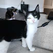 Thumbnail photo of Myra #1