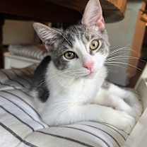 Thumbnail photo of McDreamy #4