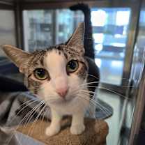 Thumbnail photo of Mrs. White #1