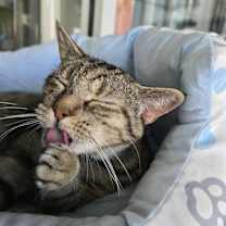 Thumbnail photo of Jane #2