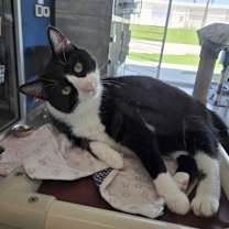 Thumbnail photo of Ruby #2