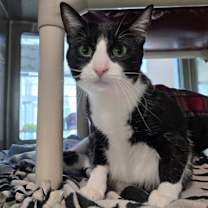 Thumbnail photo of Ruby #3