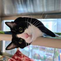 Thumbnail photo of Ruby #4