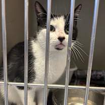 Thumbnail photo of Minnie Mouse #3