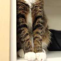 Thumbnail photo of Lucinda #3