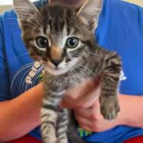 Thumbnail photo of Buddy #2