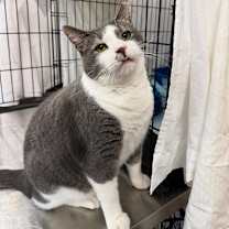 Thumbnail photo of Smooch #2