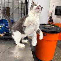 Thumbnail photo of Smooch #4