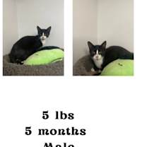 Thumbnail photo of Storm #1