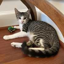 Thumbnail photo of Charlotte #2