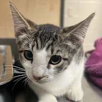 Thumbnail photo of Charlotte #4