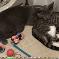 Thumbnail photo of Gary #2