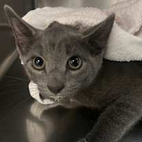 Thumbnail photo of Gary #4