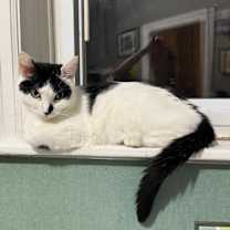 Thumbnail photo of Doodle #1