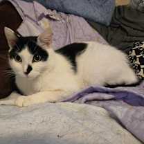 Thumbnail photo of Doodle #2