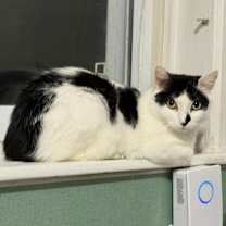 Thumbnail photo of Doodle #3