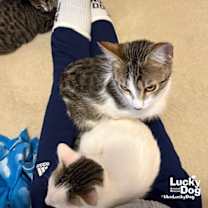 Thumbnail photo of Bittie Casper #4