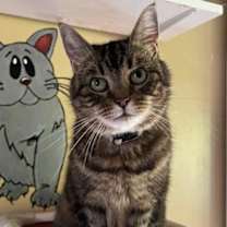 Thumbnail photo of Kit Kat #3