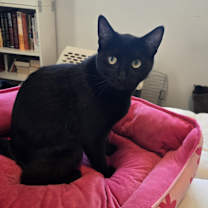 Thumbnail photo of Mimi #1