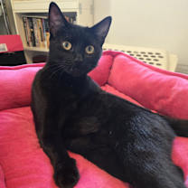 Thumbnail photo of Mimi #4