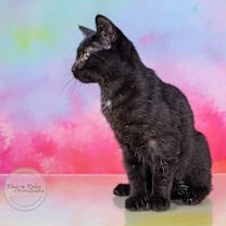 Thumbnail photo of Tip #3