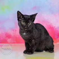 Thumbnail photo of Tip #4