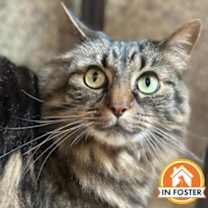 Thumbnail photo of Jellybean #1