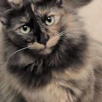 Thumbnail photo of Clarissa #2